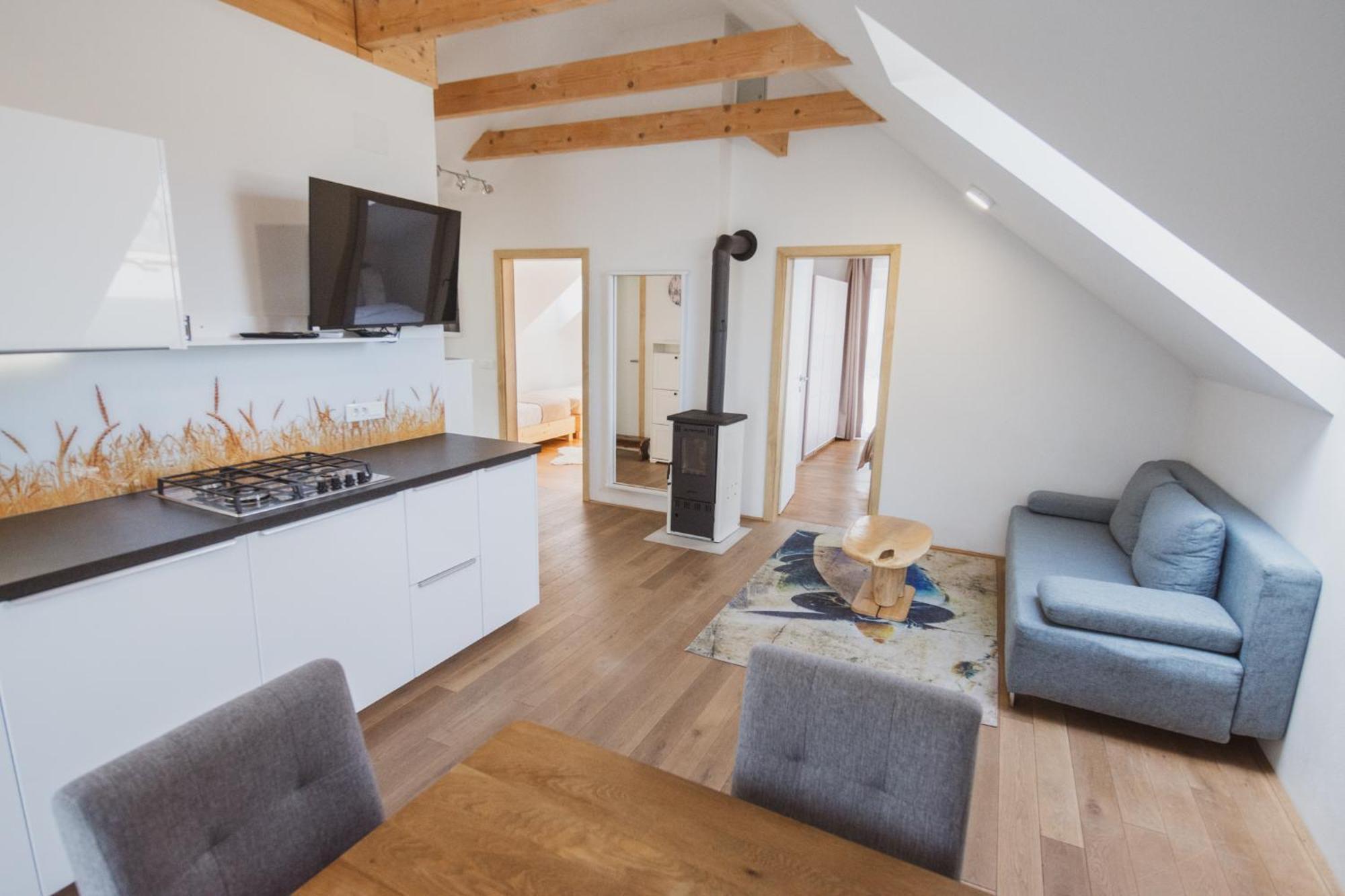 Pr'Fik Apartments クラーニ 部屋 写真